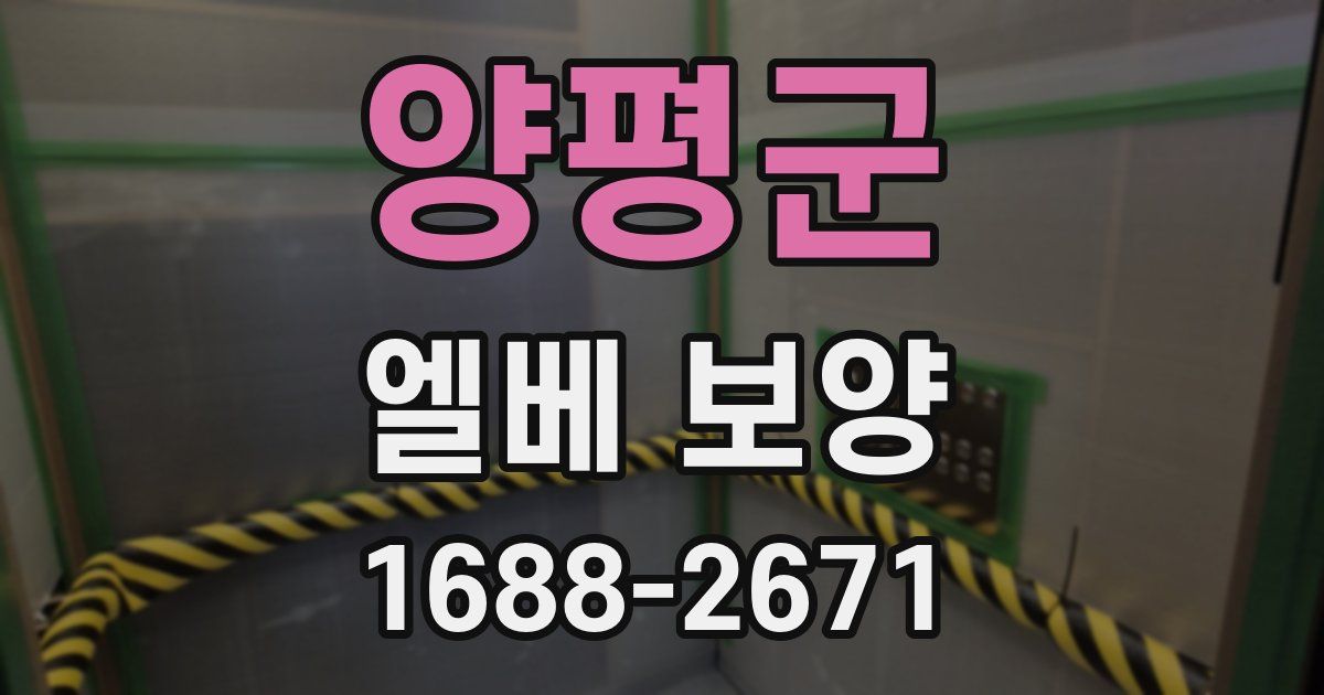 양평군 엘베 보양