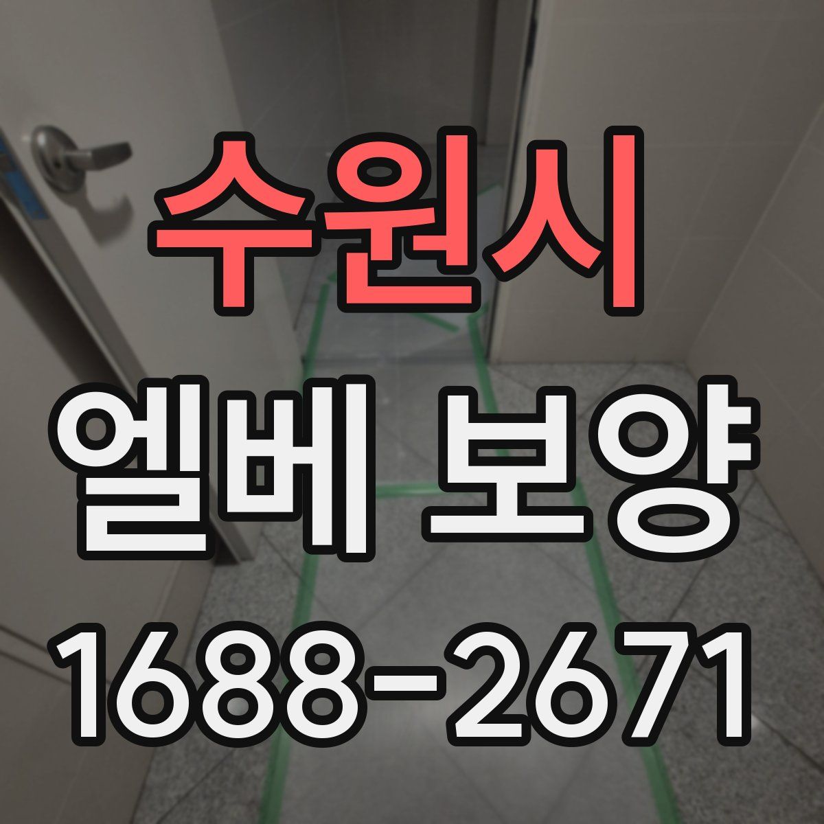 수원시 엘베 보양