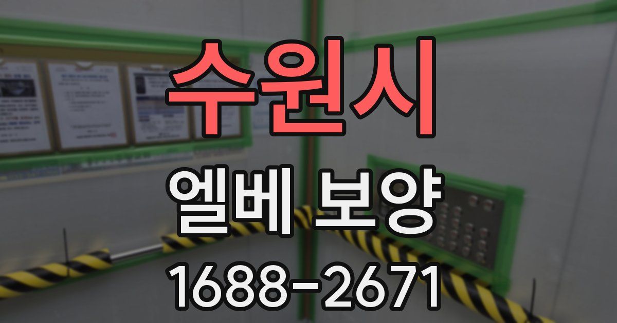 수원시 엘베 보양