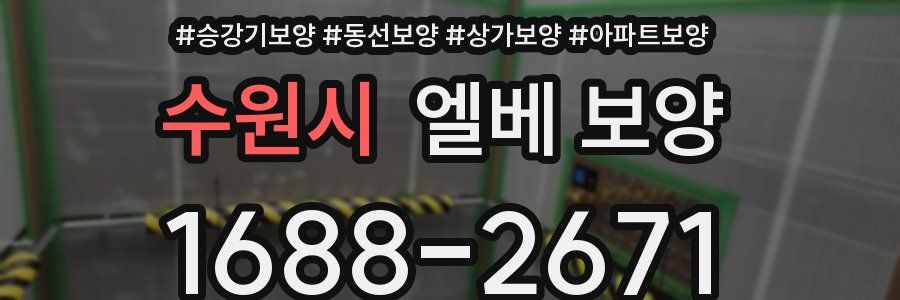 수원시 엘베 보양