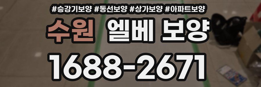 수원 엘베 보양