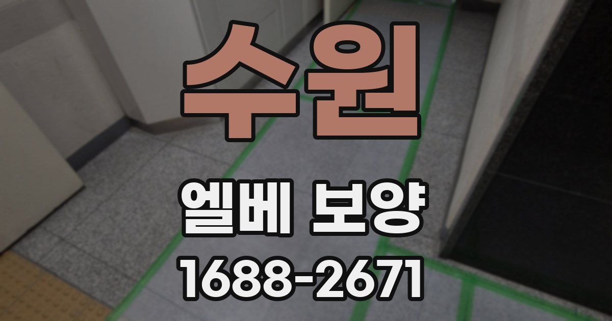 수원 엘베 보양