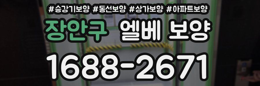 장안구 엘베 보양