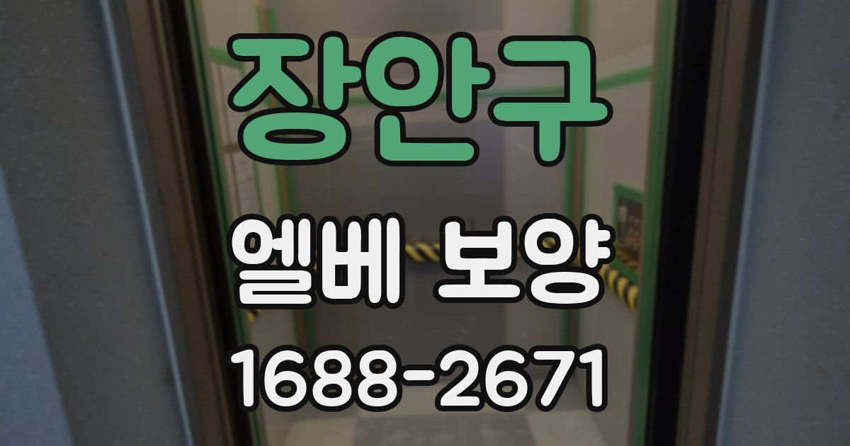장안구 엘베 보양