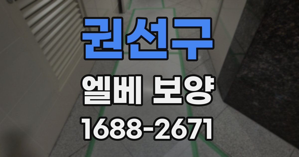 권선구 엘베 보양