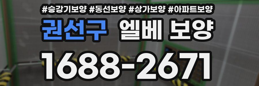 권선구 엘베 보양