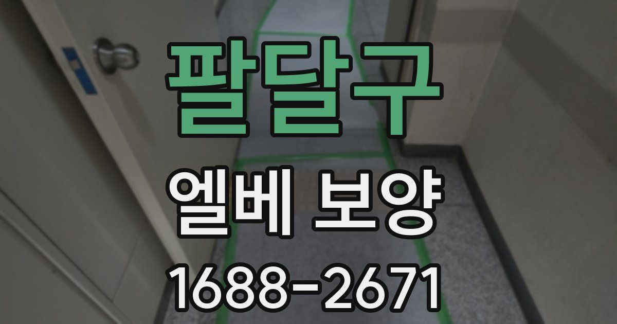 팔달구 엘베 보양