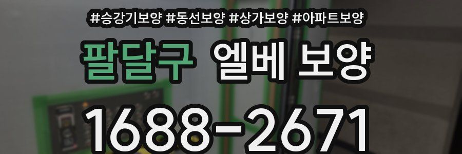 팔달구 엘베 보양