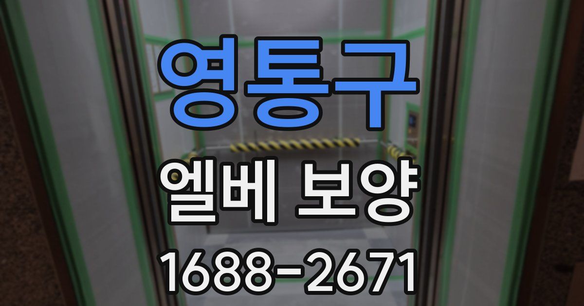 영통구 엘베 보양