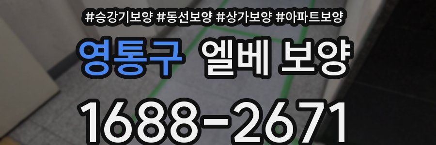 영통구 엘베 보양