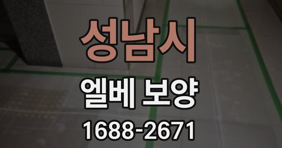 성남시 엘베 보양