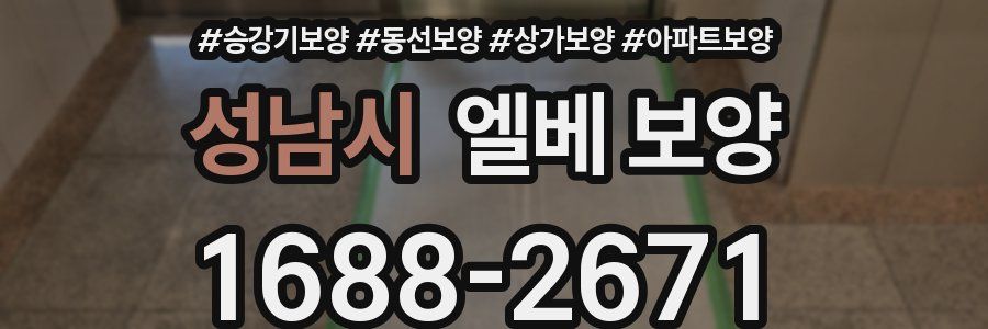 성남시 엘베 보양