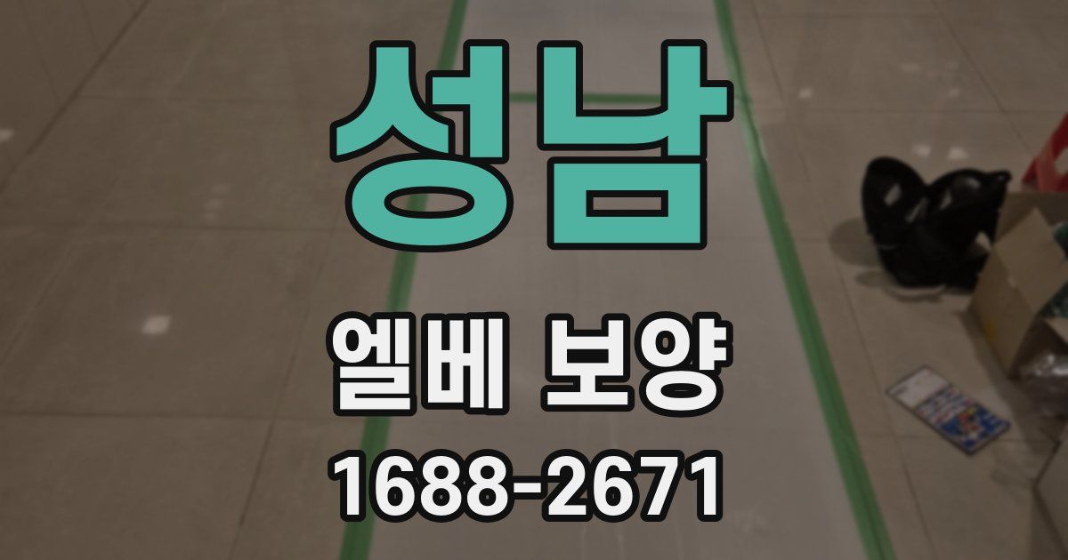 성남 엘베 보양