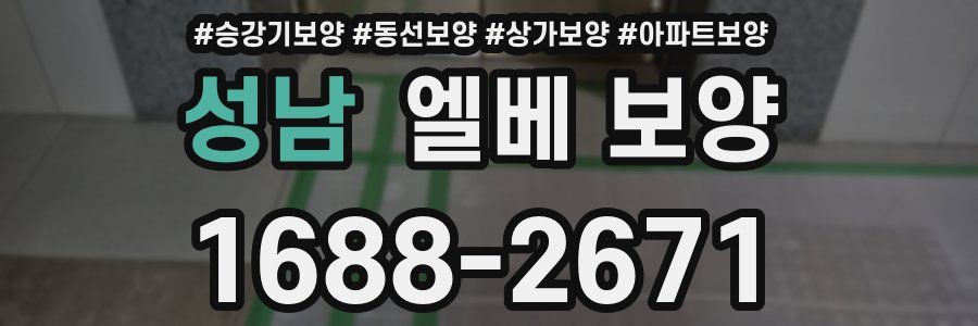 성남 엘베 보양