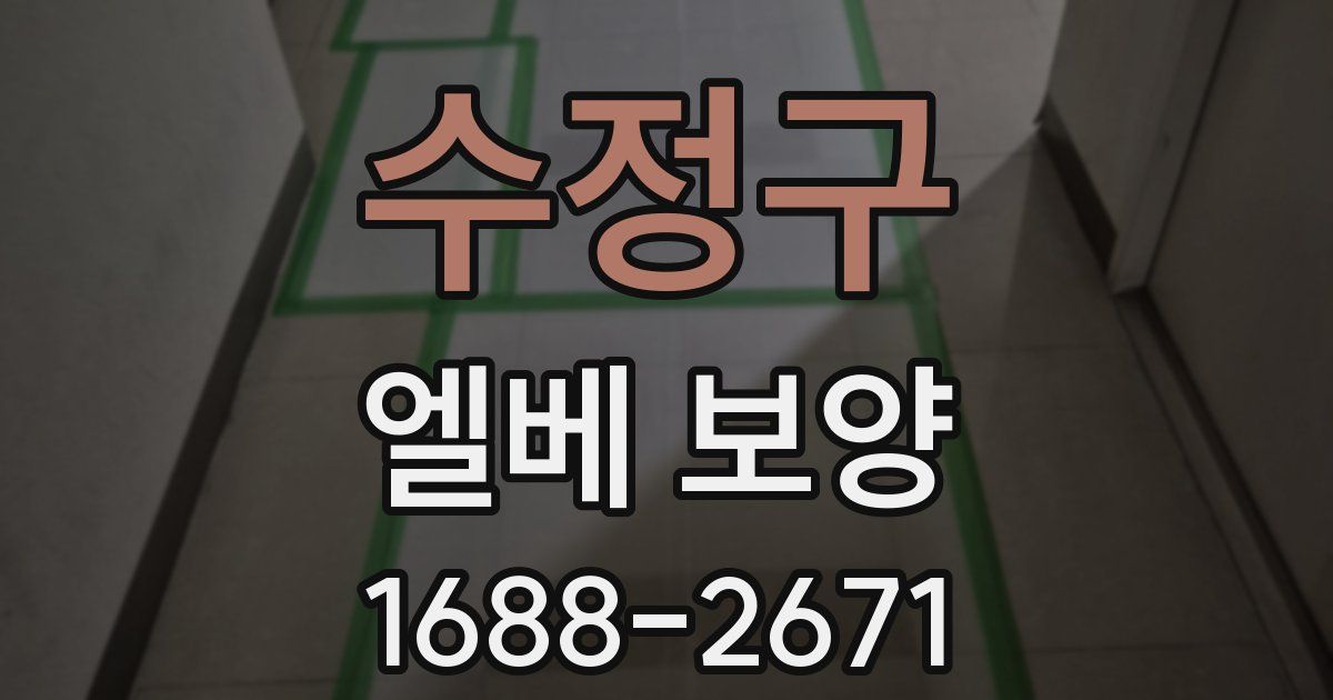 수정구 엘베 보양