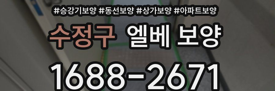 수정구 엘베 보양