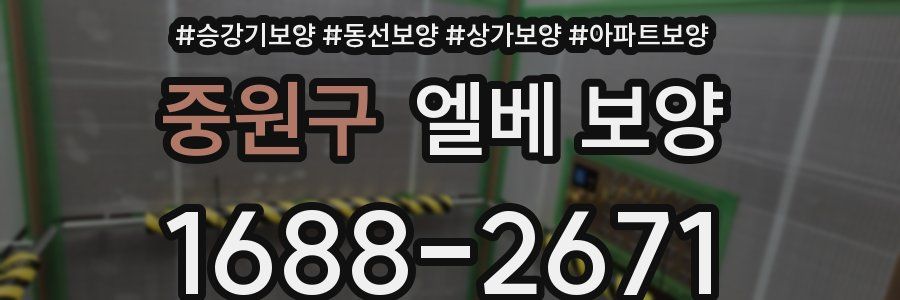 중원구 엘베 보양