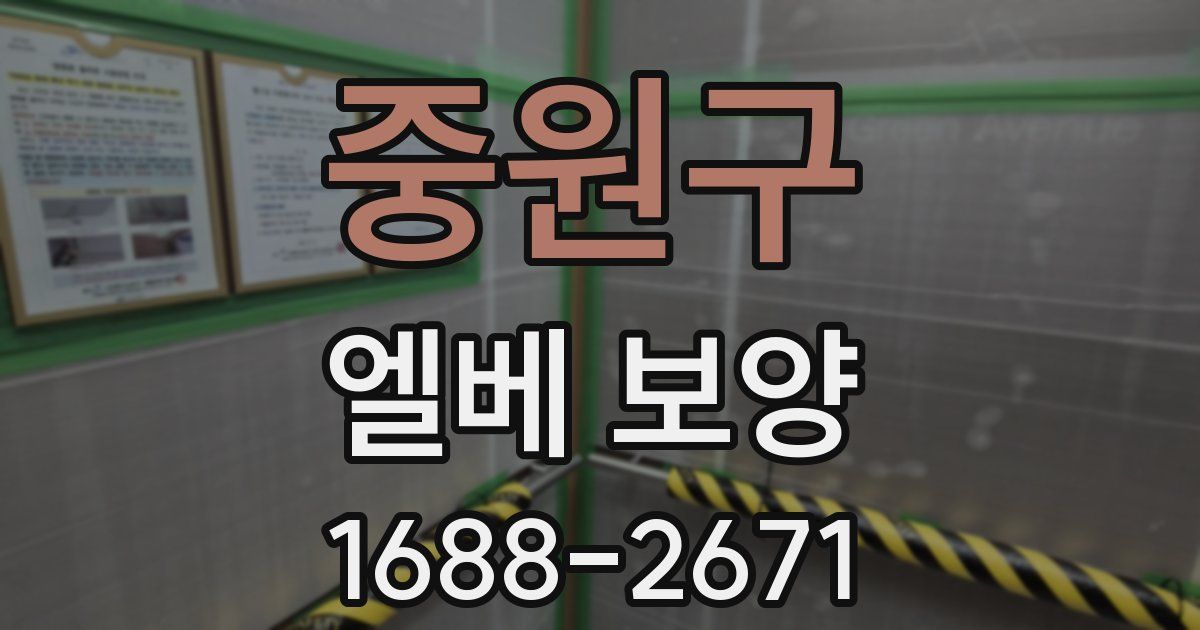 중원구 엘베 보양