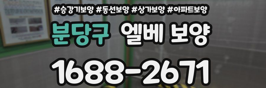 분당구 엘베 보양