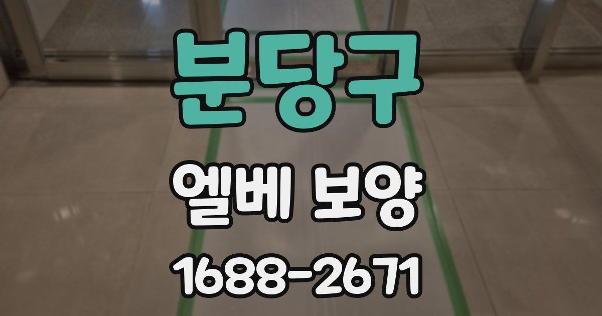 분당구 엘베 보양