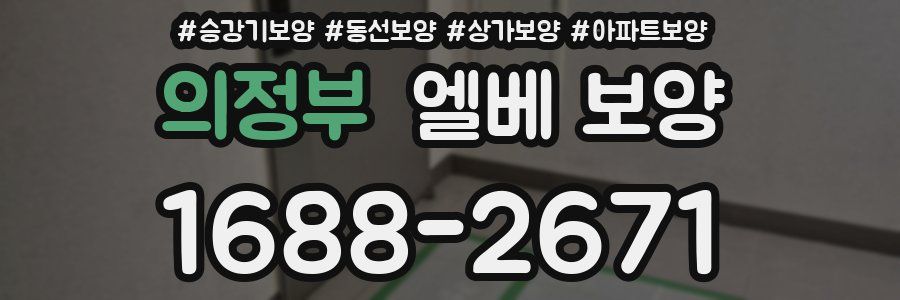 의정부 엘베 보양