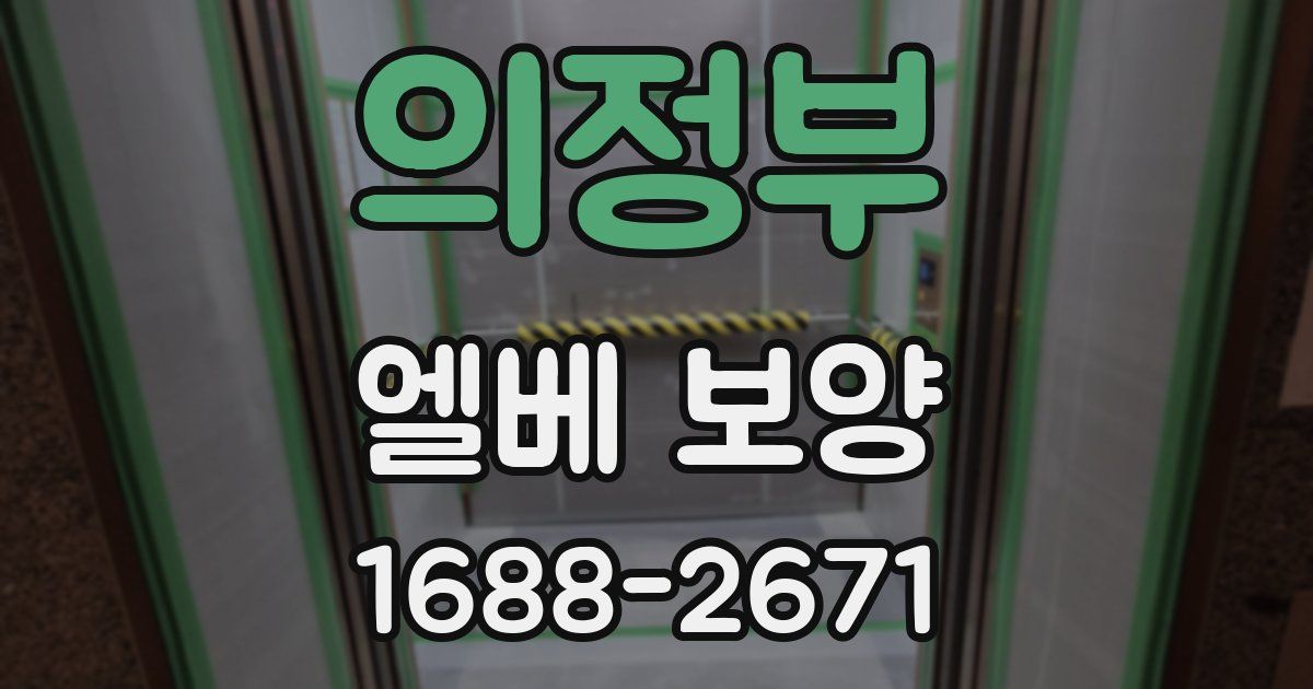 의정부 엘베 보양