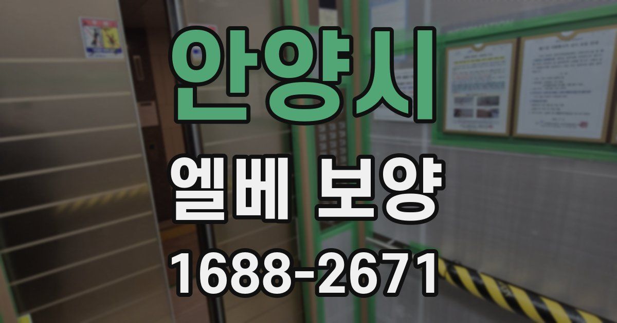 안양시 엘베 보양