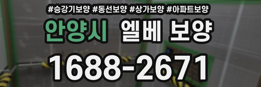 안양시 엘베 보양