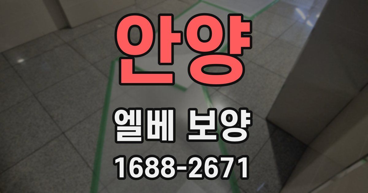 안양 엘베 보양