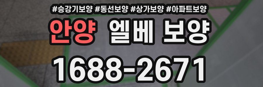 안양 엘베 보양