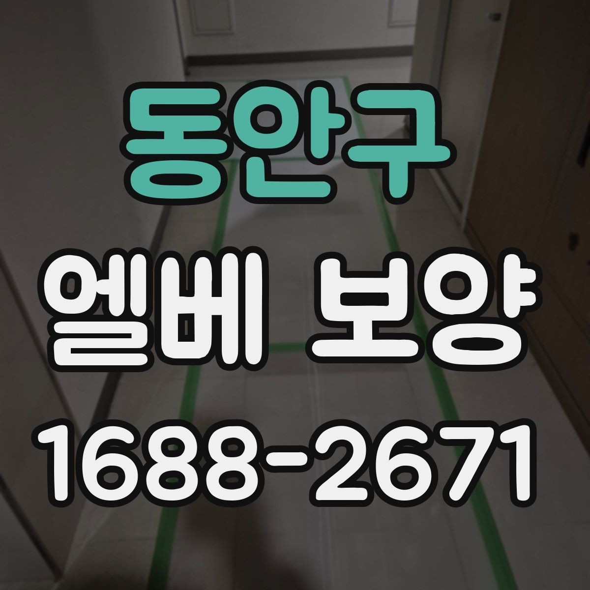 동안구 엘베 보양 보양 사진 기록이 필요한 현장 운영 포인트