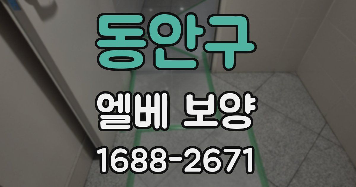 동안구 엘베 보양