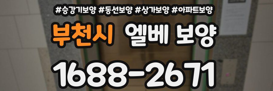부천시 엘베 보양