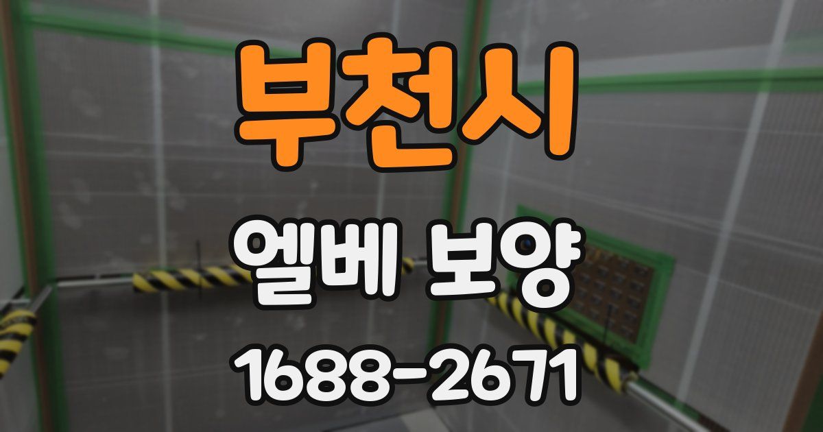 부천시 엘베 보양