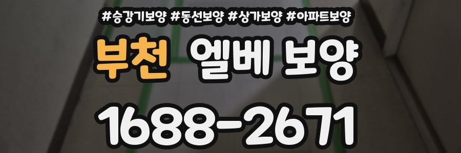 부천 엘베 보양