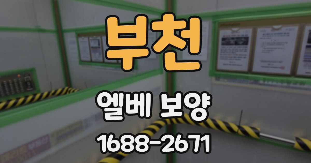 부천 엘베 보양
