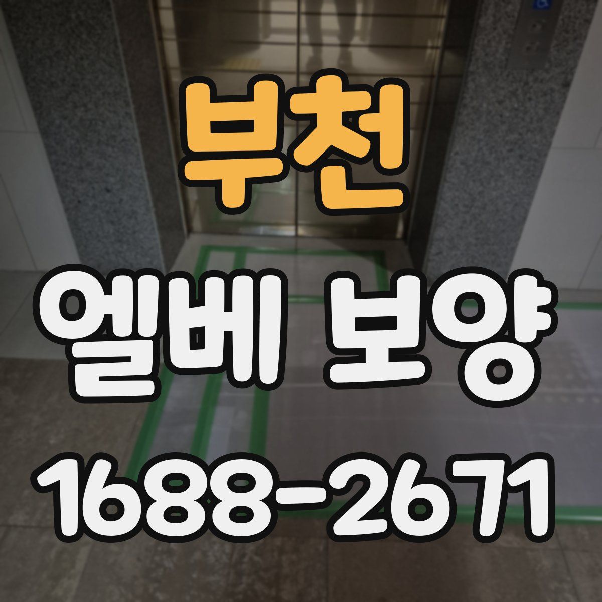 부천 엘베 보양