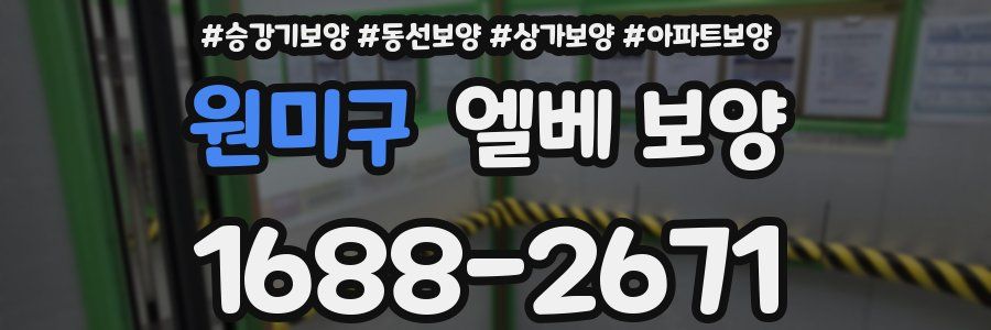 원미구 엘베 보양