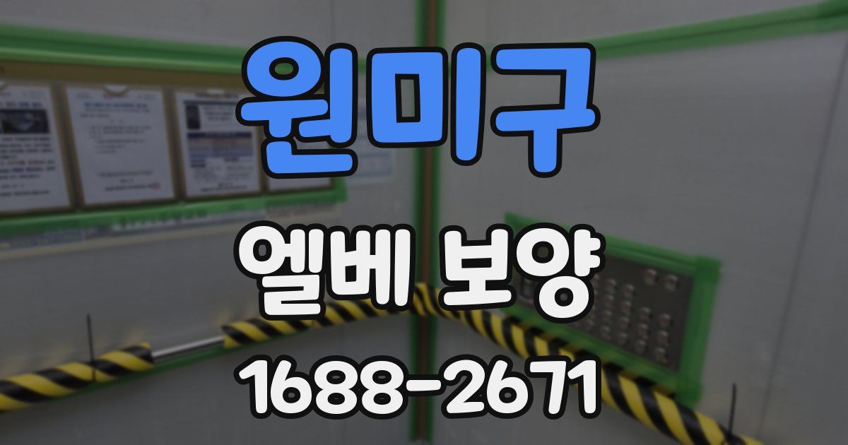 원미구 엘베 보양