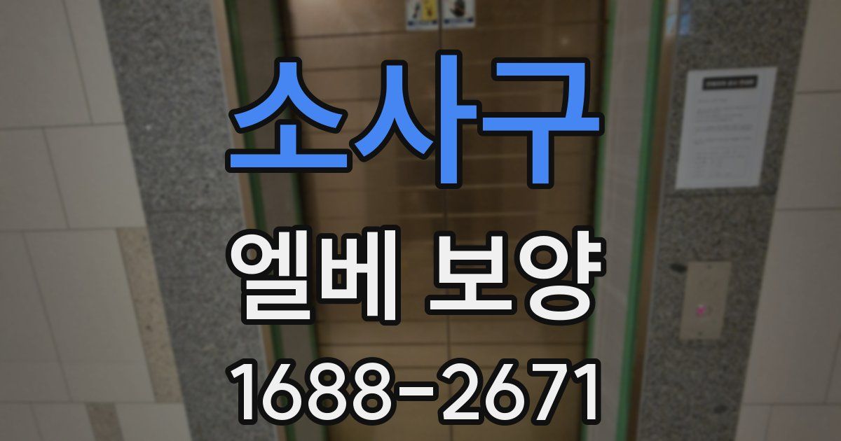 소사구 엘베 보양