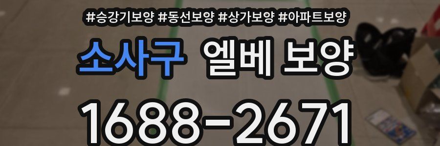 소사구 엘베 보양