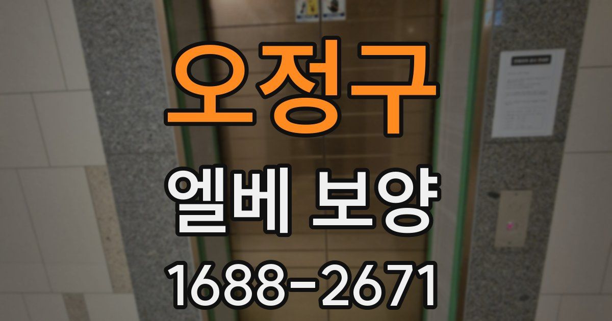 오정구 엘베 보양