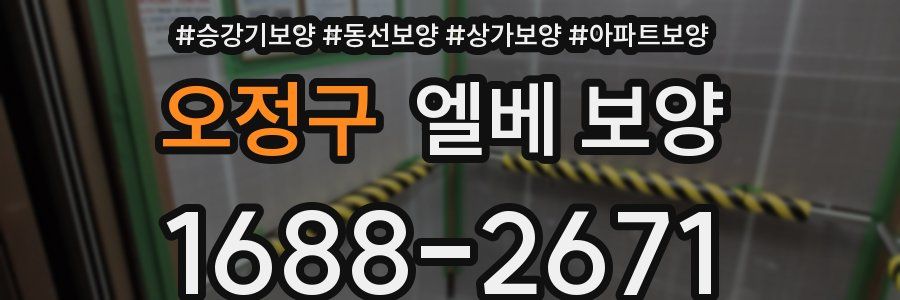 오정구 엘베 보양