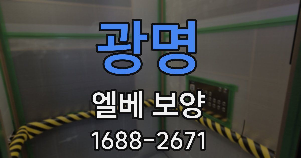 광명 엘베 보양