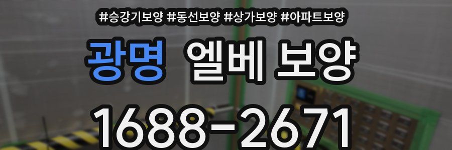 광명 엘베 보양