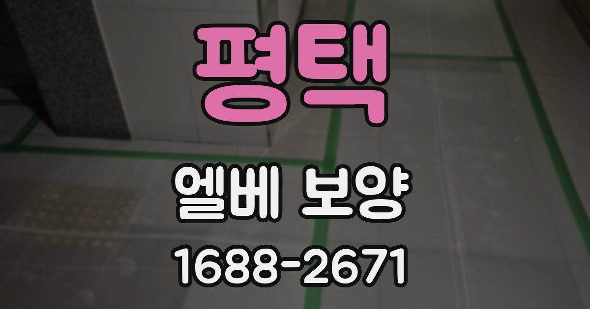 평택 엘베 보양