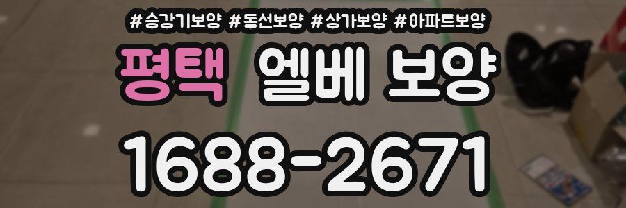 평택 엘베 보양