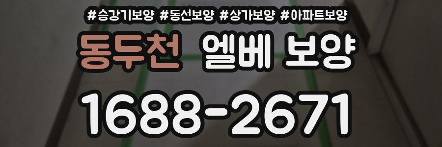 동두천 엘베 보양