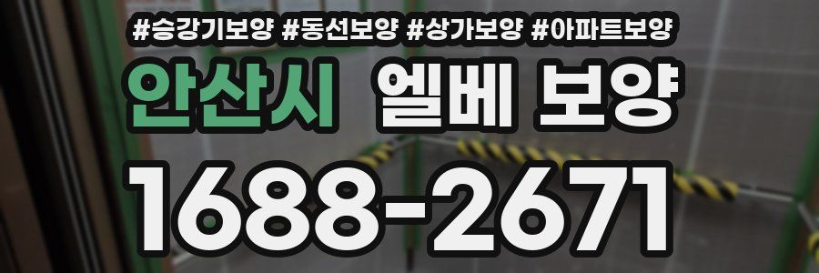 안산시 엘베 보양