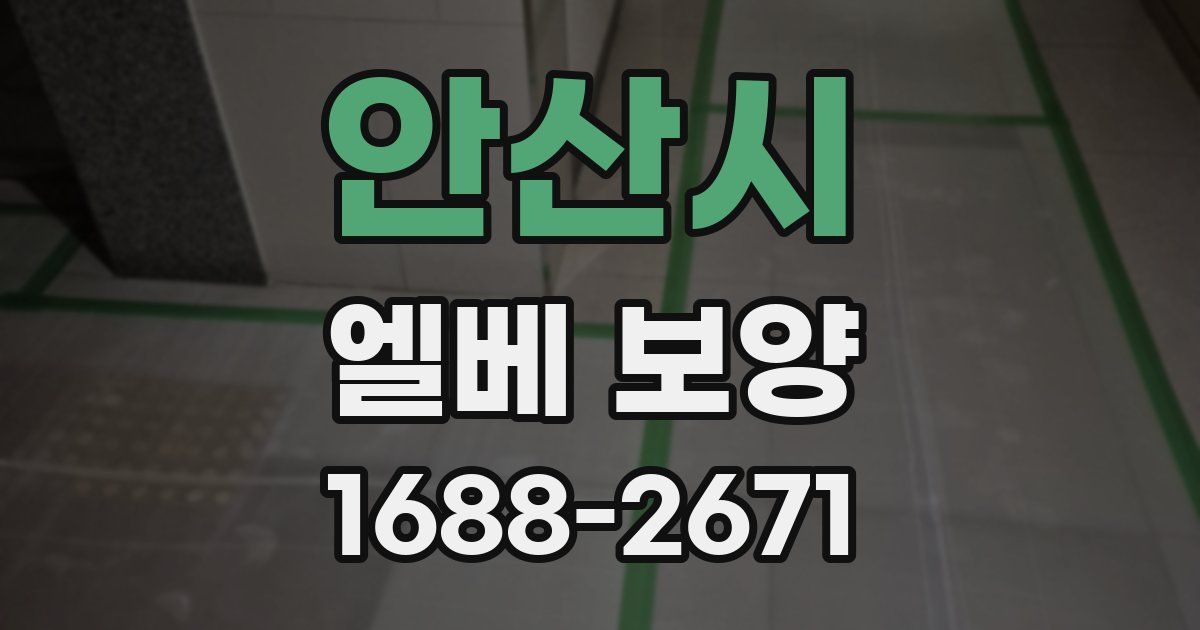 안산시 엘베 보양